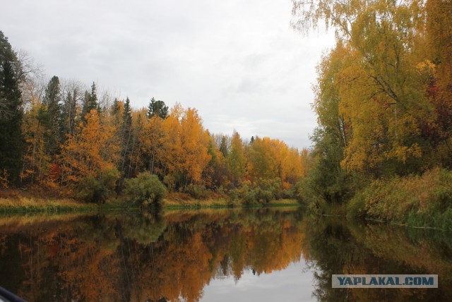 Как я провёл эти выходные