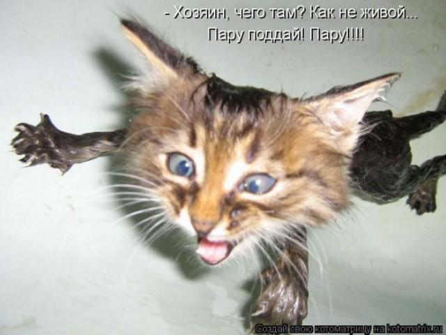 Побег невозможен.