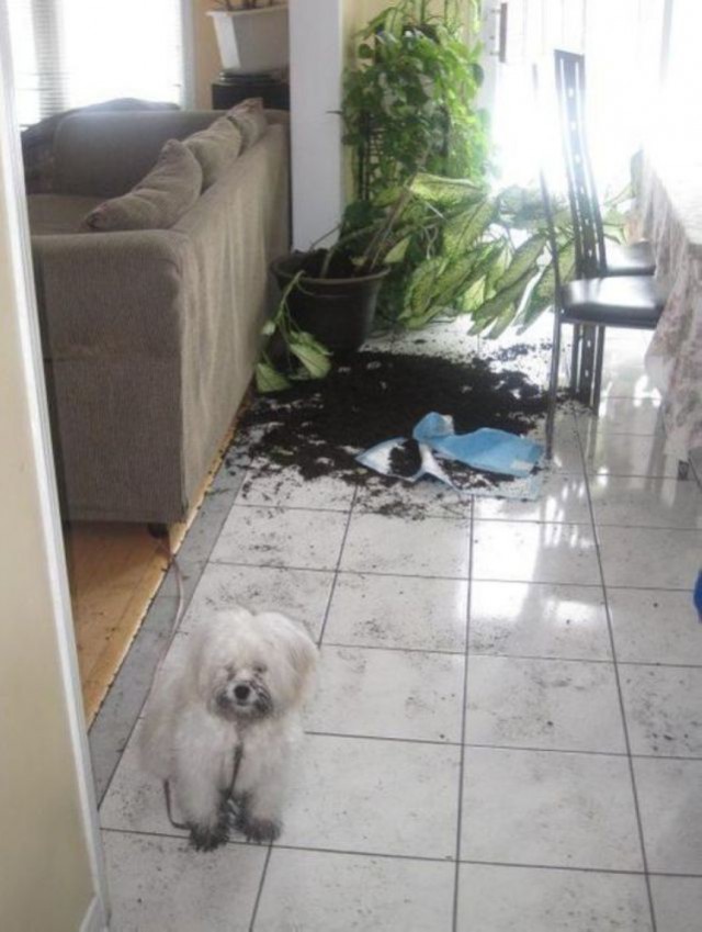 Вот так бывает за секунду до …