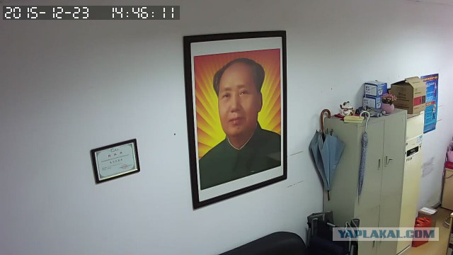 За что я люблю китайцев