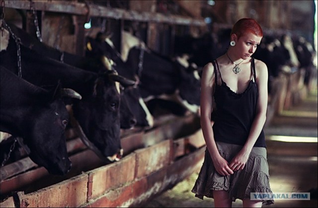 Веселый Молочник и Геи...