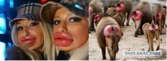 Кристина, губы, инвестиции