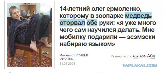 Медведь и алкаши