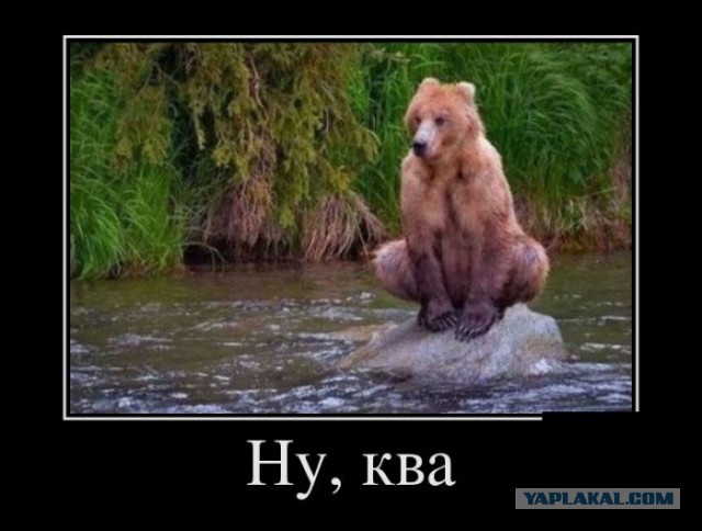 Прикольные картинки и демотиваторы