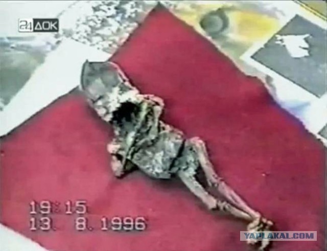 Семилетний «Робин Гуд» с Нижнего Кыштыма раздал детворе сотни тысяч рублей