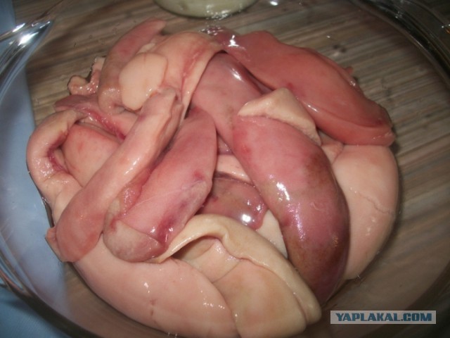 Кухня (кулинарное и околокулинарное общение)
