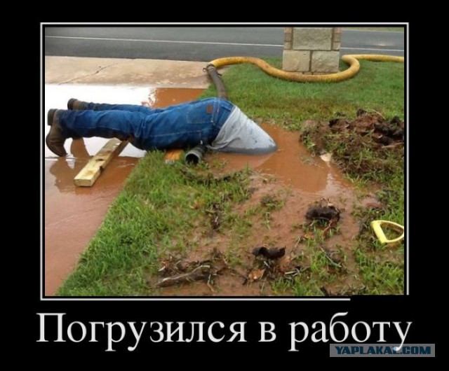 Картинки в черных рамках