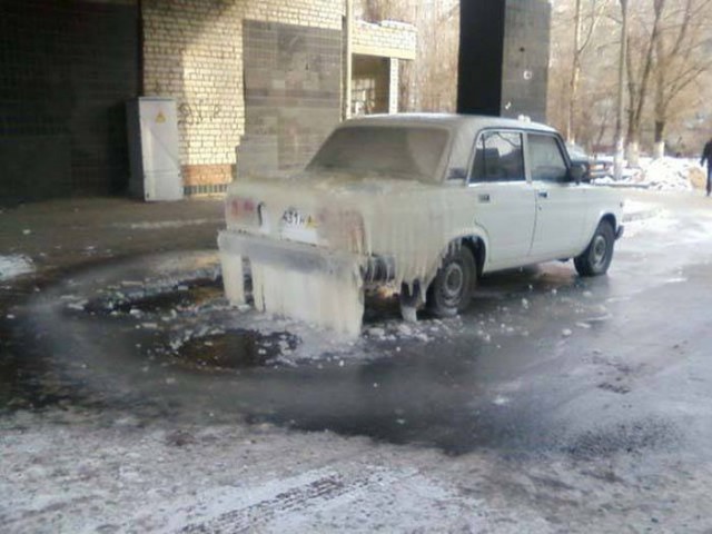Порция картинок из сети.