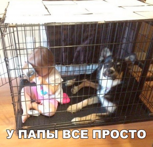 Подборка безудержного веселья