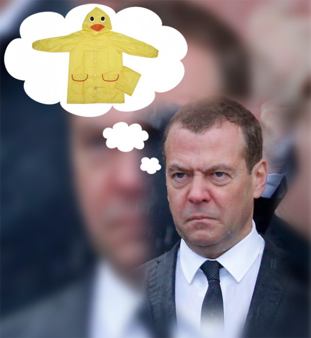 Под дождём