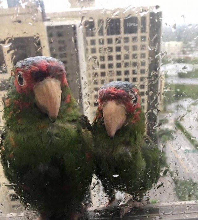 150 картинок для поднятия настроения!