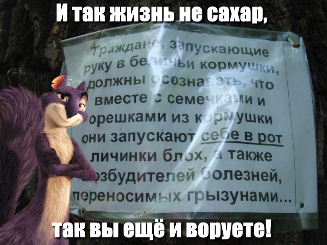 Всякое из тырнэта