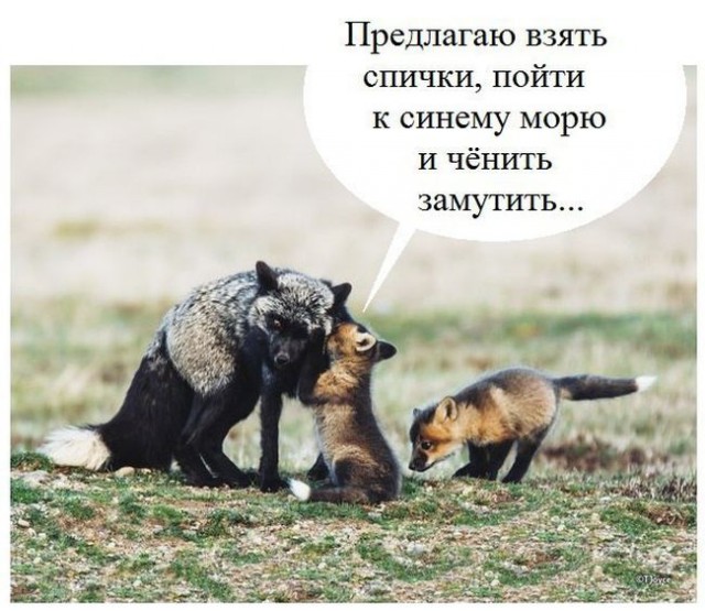 Работа не волк, но картинки сами себя не посмотрят!