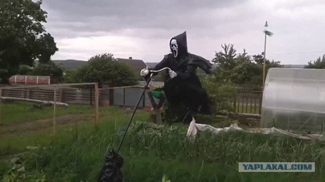 Моя соседка по даче — тварь