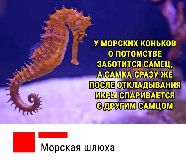 Картинки. Разные