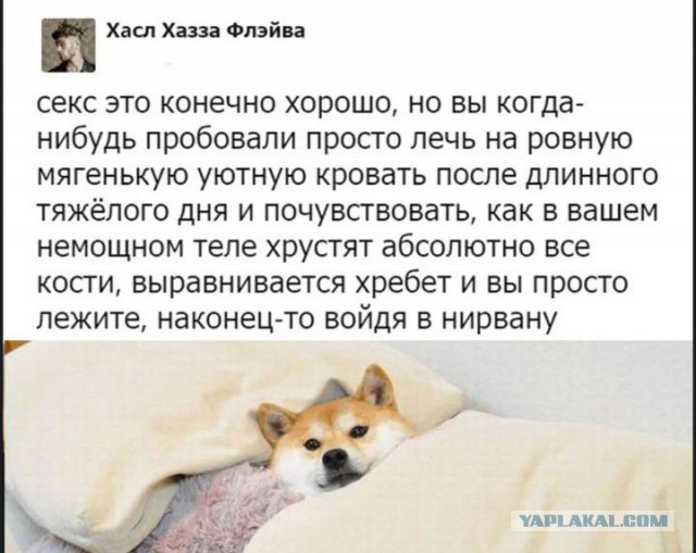 Очередные соцсети