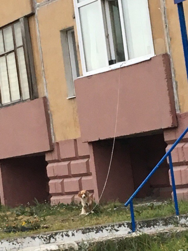 WTF: что тут происходит?