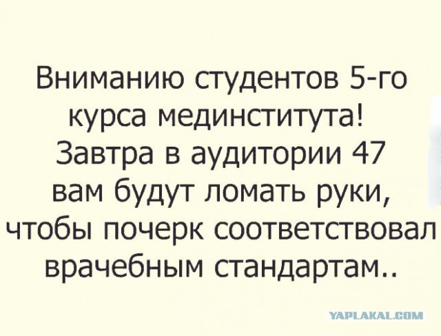 Смешные комментарии из социальных сетей 02.11.2018