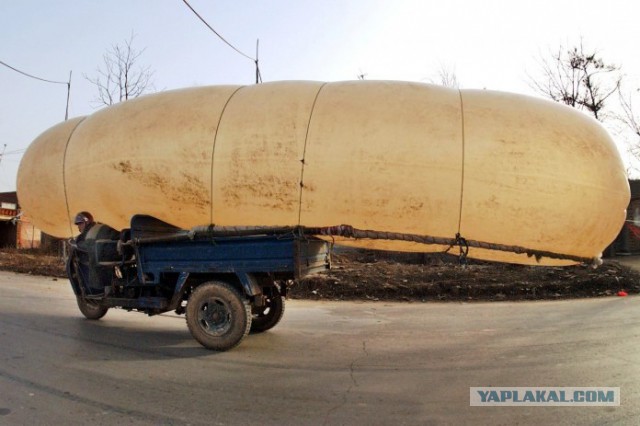 Смотрите, как Арашуковы воровали газ