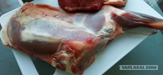 Шурпа жареная