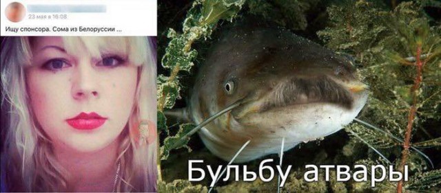 Пикчевая ерунда