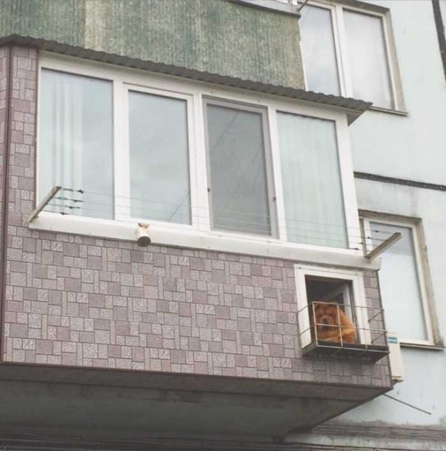 Картинки с претензией на юмор