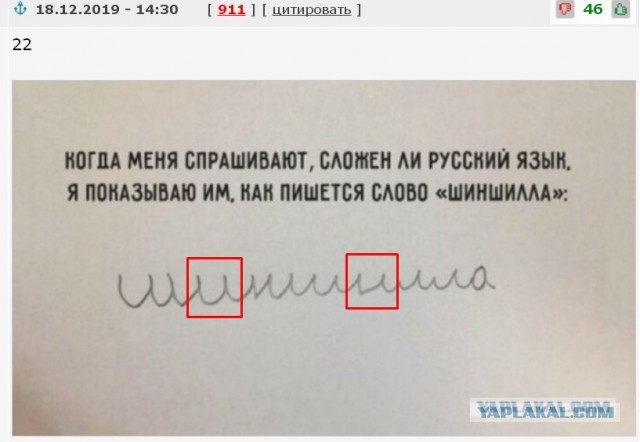 Русский язык может свести с ума даже тех, кто знает его с рождения