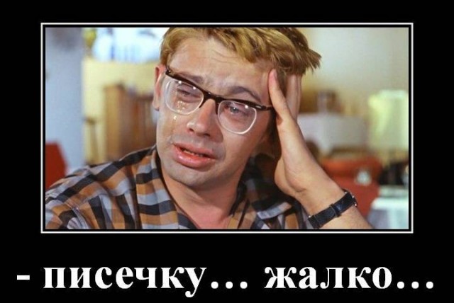 "Козёл. Такой же, как Саша!"