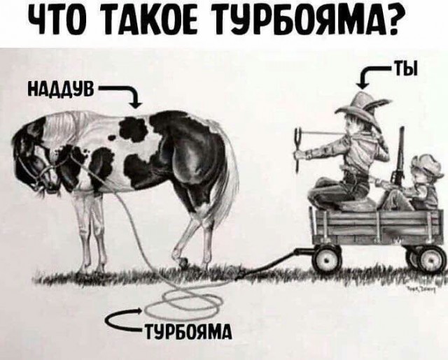 100 разных картинок