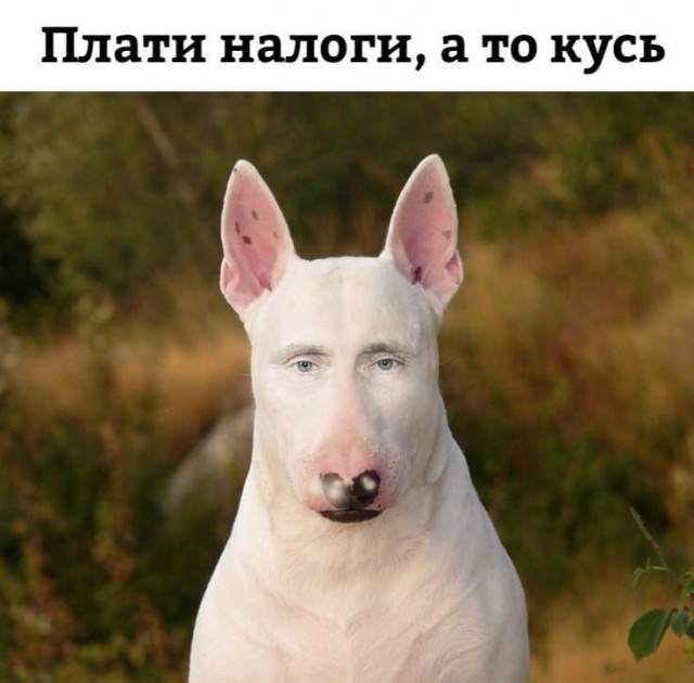 Плоти нолог! Не будешь? Сами возьмём!