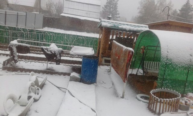 Теплица своими руками от IT-шника