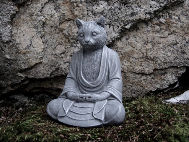 Буддисткие коты