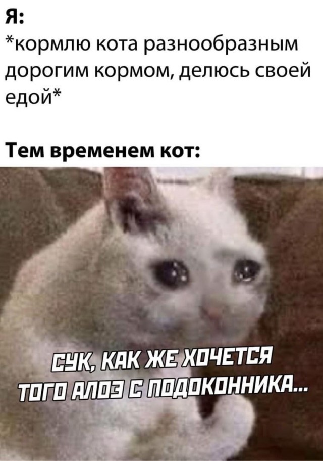 Веселые картинки.