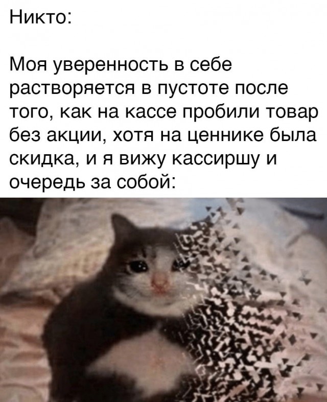 Фотки и картинки: юморные и красивые, забавные и милые 20.04.21