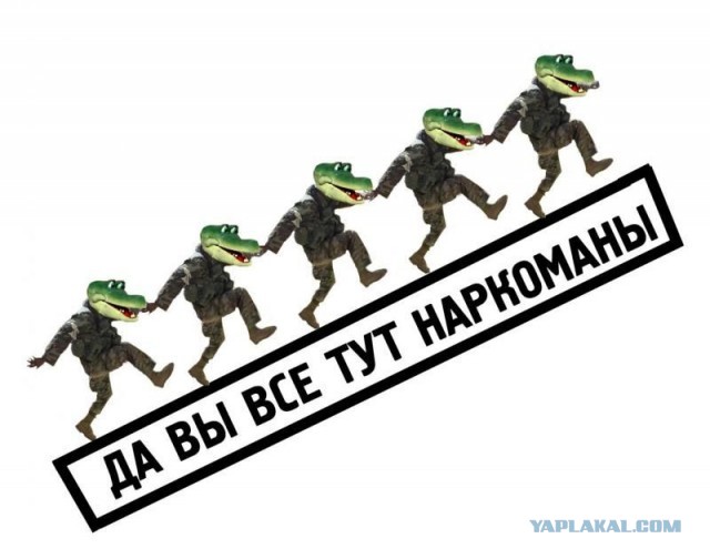 Так развлекается быдло