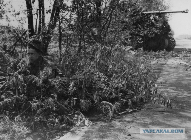 Короли перевоплощения: 16 шедевров военной маскировки
