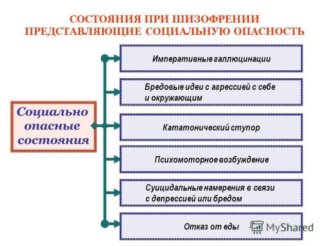 Джигурда вырубил Кушанашвили
