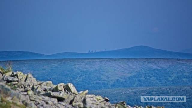Болваны, я восьмой