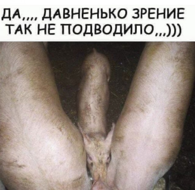 Дурацкие картинки