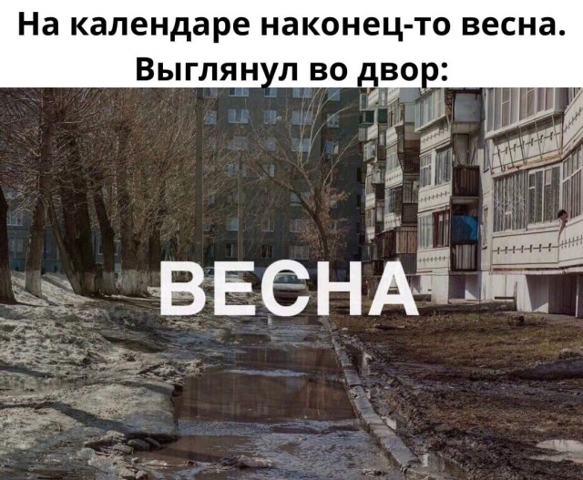 Чуток картинок 04.03.22