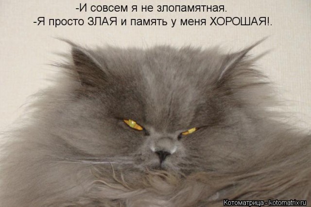 Пандемия. Коронавирус и съехавшие крыши. Россия и мир. Часть 35
