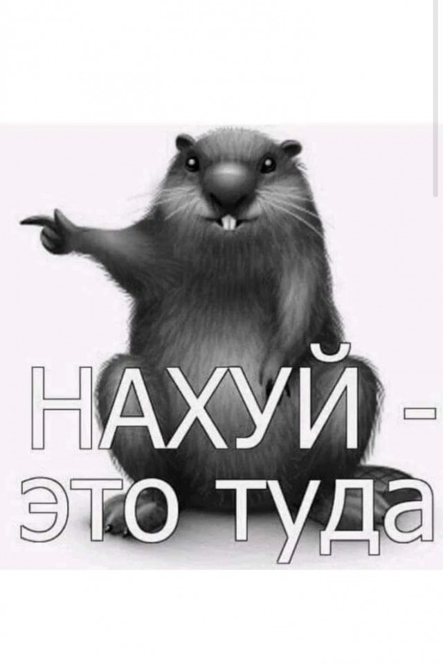 К 40-45 нормальные мужчины заняты