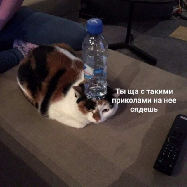Немного картинок для настроения - 114