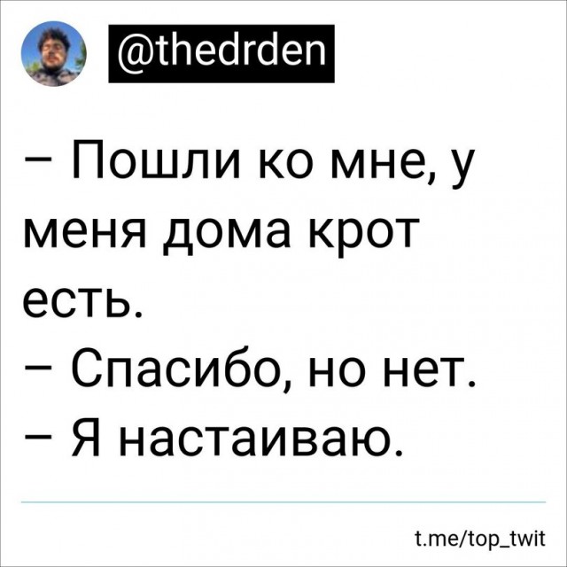 Кротовуха! Дегустация настойки на кротах