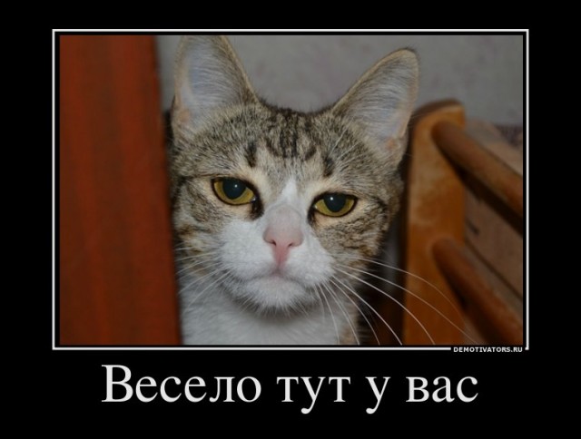 Танцы на корпоративе