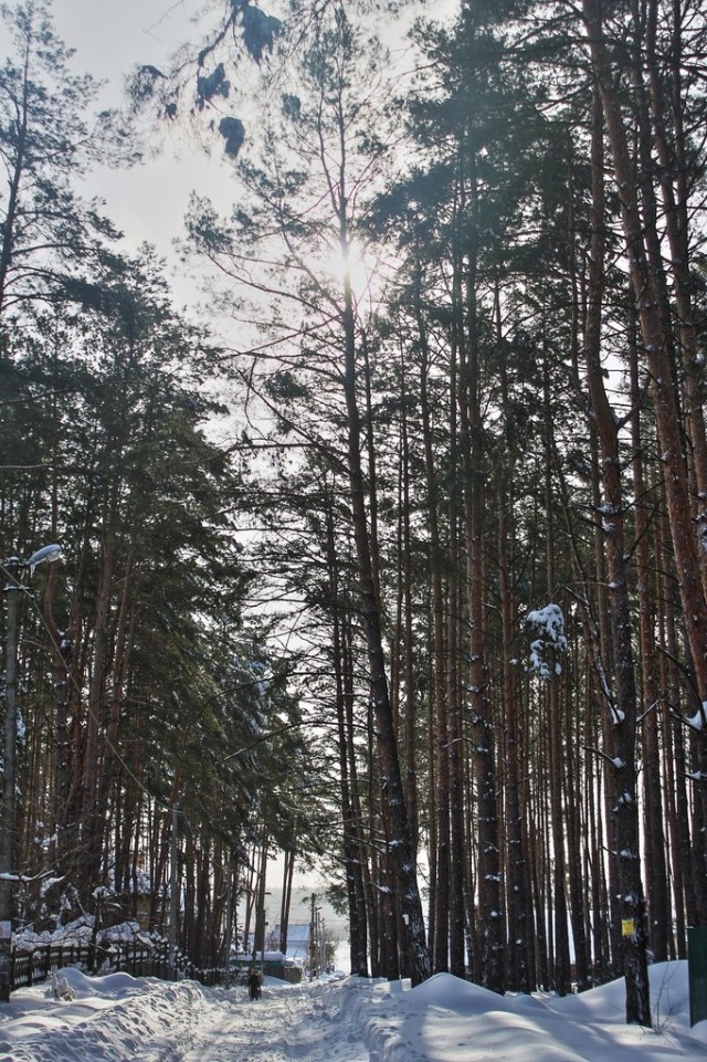 23 марта. Киев. Весна.