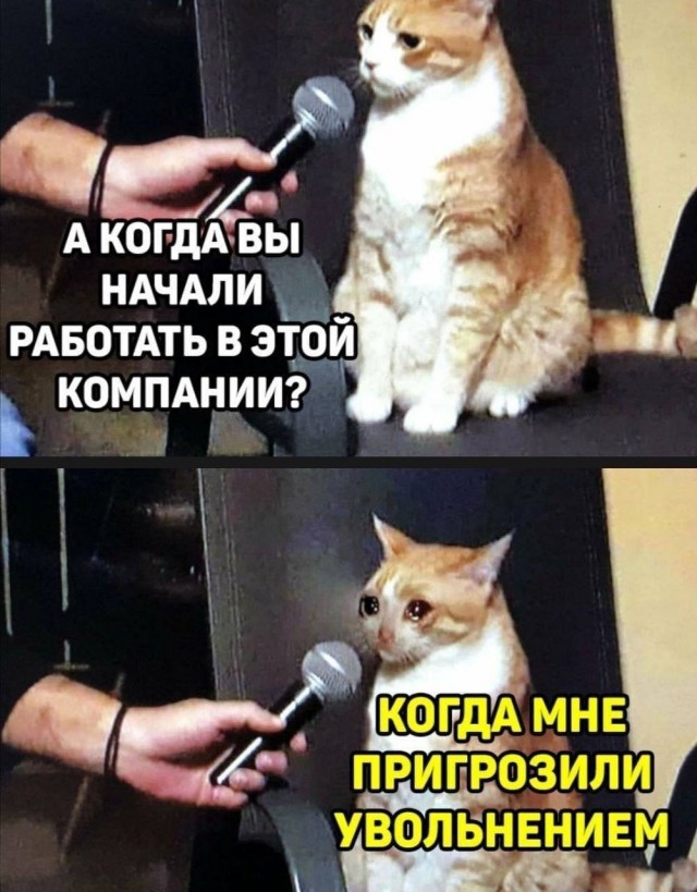 Немного мемчиков. Для взрослых. Часть 29