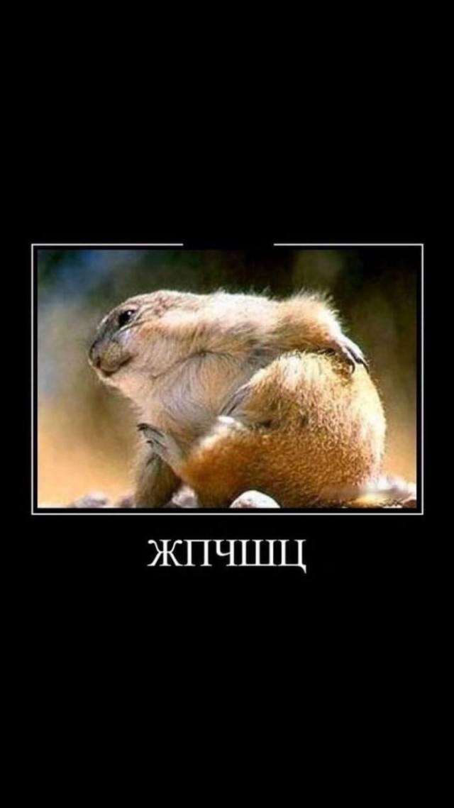 Ты от меня просто так не отделаешься