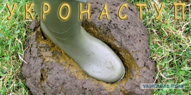 Начинается контрнаступление?