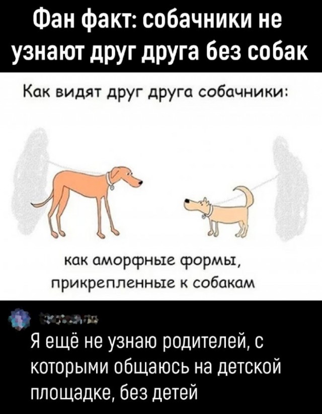 Немного картинок для настроения - 161